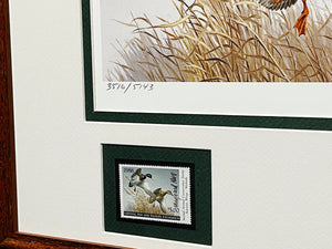 Maynard Reece  1988 National Fish And Wildlife Association Stamp Print With Double Stamps - Brand New Custom Sporting Frame