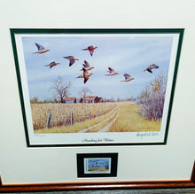 Load image into Gallery viewer, Maynard Reece - 2000 Quail Unlimited - Dove Conservation Stamp Print With Stamp - Heading For Water - Brand New Custom Sporting Frame
