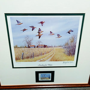 Maynard Reece - 2000 Quail Unlimited - Dove Conservation Stamp Print With Stamp - Heading For Water - Brand New Custom Sporting Frame