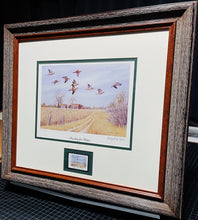 Load image into Gallery viewer, Maynard Reece - 2000 Quail Unlimited - Dove Conservation Stamp Print With Stamp - Heading For Water - Brand New Custom Sporting Frame