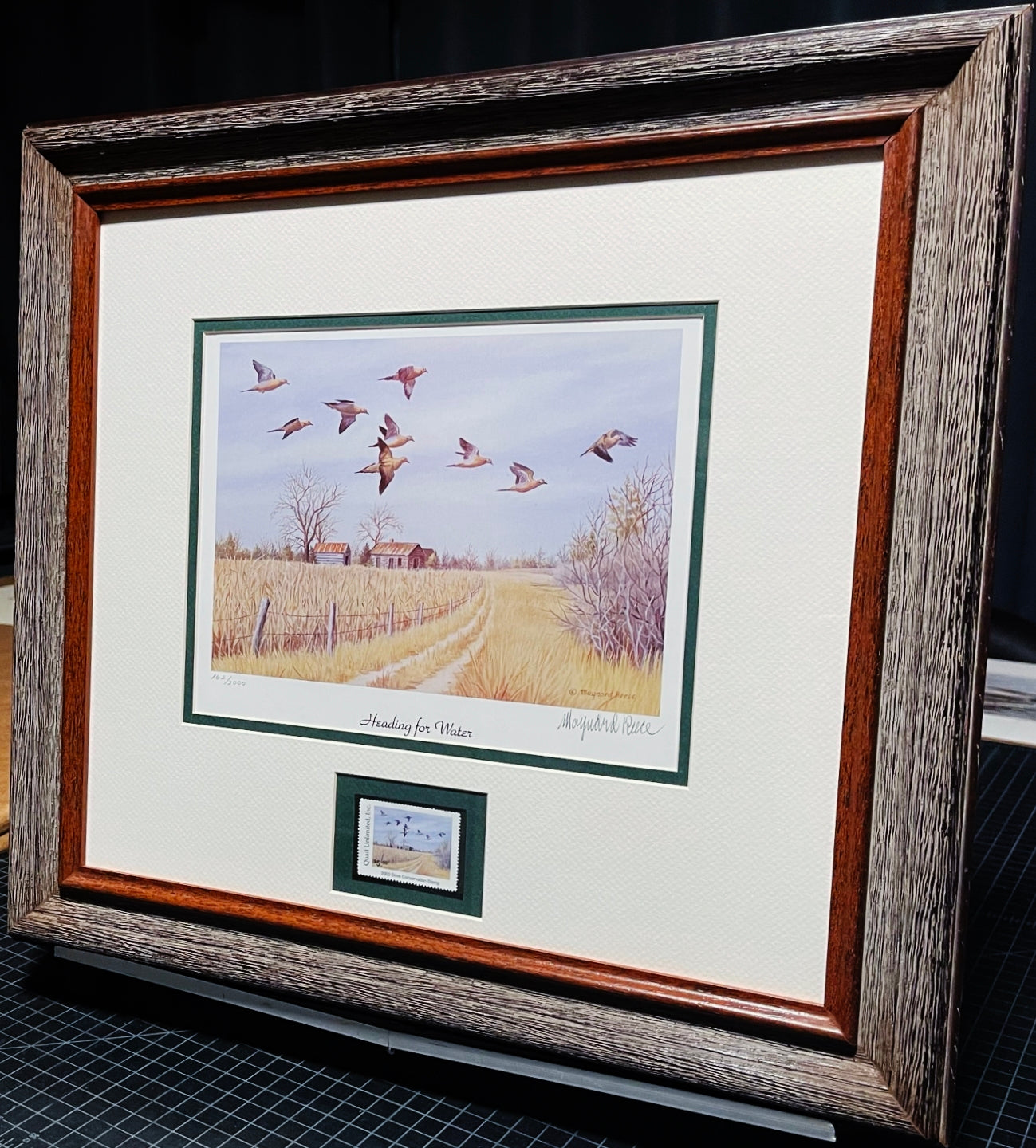 Maynard Reece - 2000 Quail Unlimited - Dove Conservation Stamp Print With Stamp - Heading For Water - Brand New Custom Sporting Frame