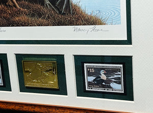 Nancy Howe - 1991 Federal Waterfowl Duck Stamp Print Medallion Edition With Double Stamps - Brand New Custom Sporting Frame