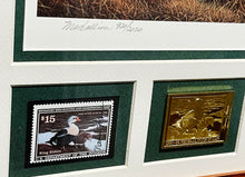 Load image into Gallery viewer, Nancy Howe - 1991 Federal Waterfowl Duck Stamp Print Medallion Edition With Double Stamps - Brand New Custom Sporting Frame