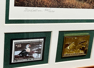Nancy Howe 1991 Federal Waterfowl Duck Stamp Print Medallion Edition With Double Stamps - Brand New Super Custom Sporting Frame