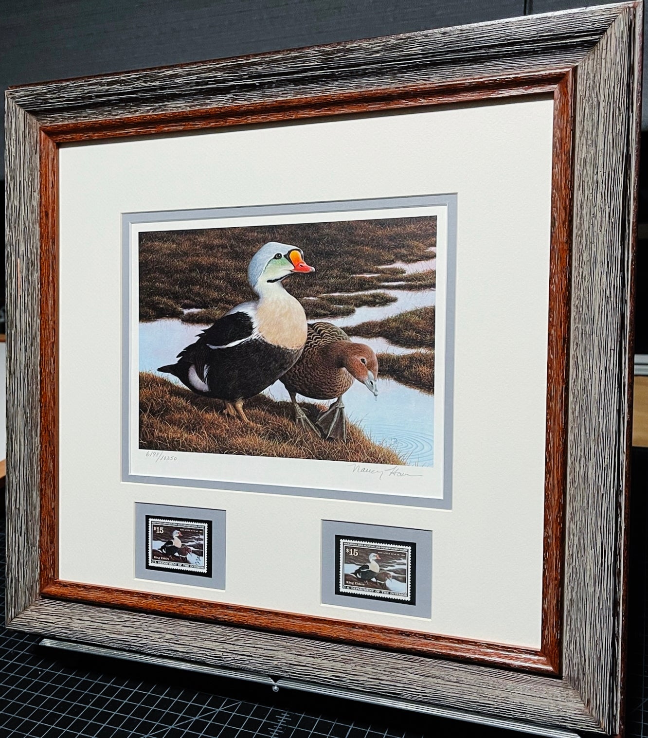 Nancy Howe 1991 Federal Waterfowl Duck Stamp Print With Double Stamps - Brand New Super Custom Sporting Frame