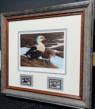 Load image into Gallery viewer, Nancy Howe 1991 Federal Waterfowl Duck Stamp Print With Double Stamps - Brand New Super Custom Sporting Frame