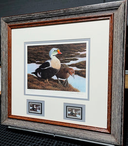 Nancy Howe 1991 Federal Waterfowl Duck Stamp Print With Double Stamps - Brand New Super Custom Sporting Frame