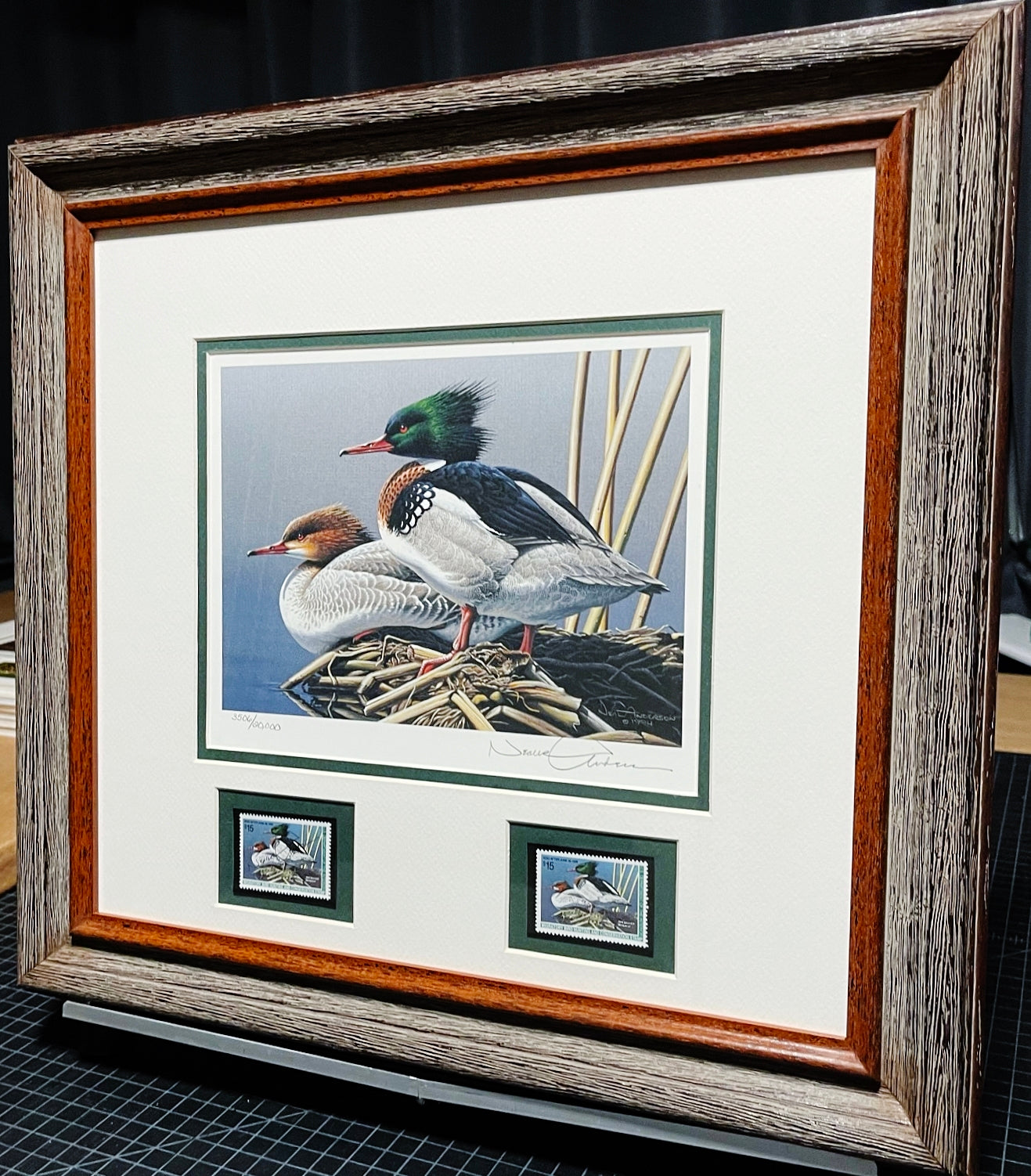 Neal Anderson 1994 Federal Duck Stamp Print With Double Stamps - Brand New Super Custom Sporting Frame