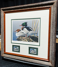 Load image into Gallery viewer, Neal Anderson 1994 Federal Duck Stamp Print With Double Stamps - Brand New Super Custom Sporting Frame