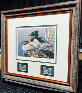 Neal Anderson 1994 Federal Duck Stamp Print With Double Stamps - Brand New Super Custom Sporting Frame