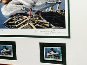 Neal Anderson 1994 Federal Duck Stamp Print With Double Stamps - Brand New Super Custom Sporting Frame