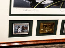Load image into Gallery viewer, Neal Anderson  1989 Federal Duck Stamp Print Gold Medallion Edition With Double Stamps - Swimming Scaup Ducks - Brand New Custom Sporting Frame