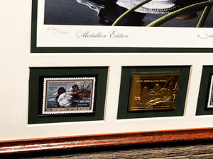 Neal Anderson  1989 Federal Duck Stamp Print Gold Medallion Edition With Double Stamps - Swimming Scaup Ducks - Brand New Custom Sporting Frame