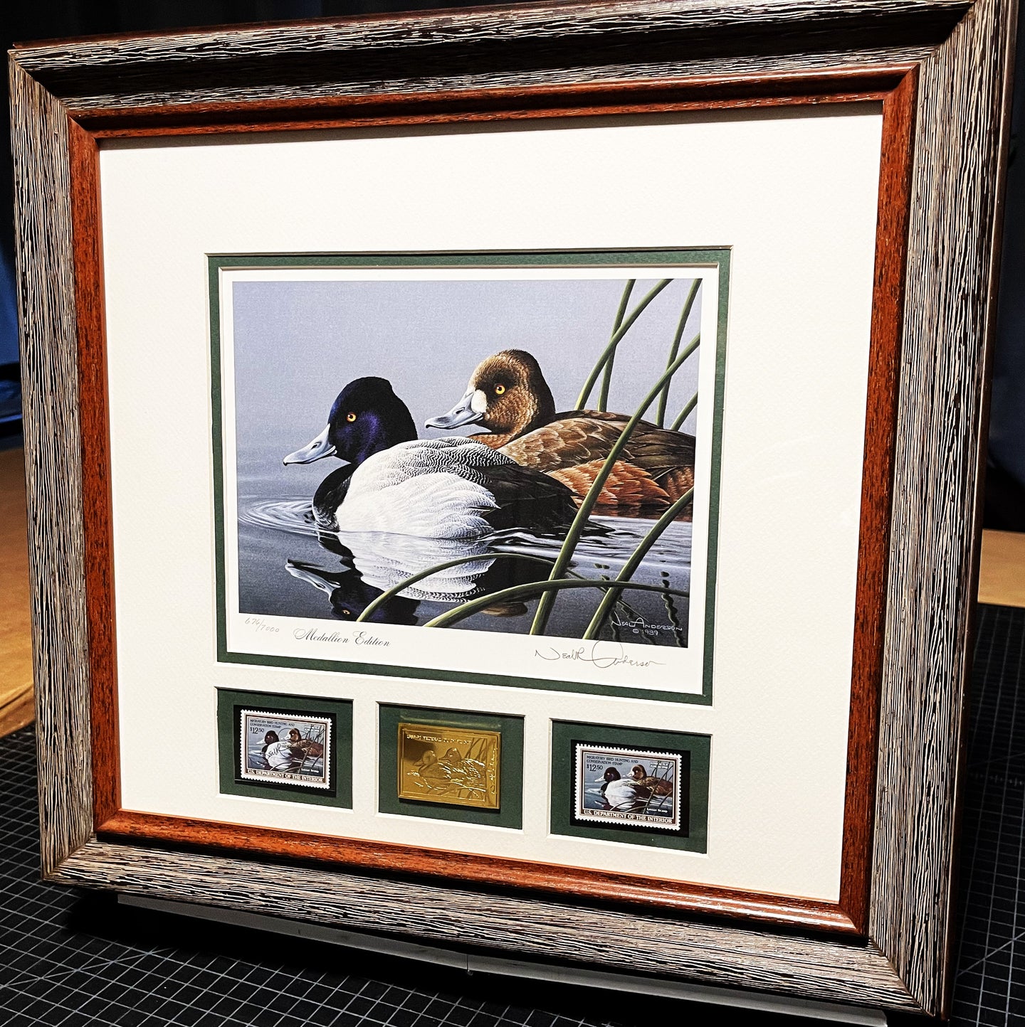 Neal Anderson - 1989 Federal Duck Stamp Print Gold Medallion Edition With Double Stamps - Swimming Scaup Ducks - Brand New Custom Sporting Frame