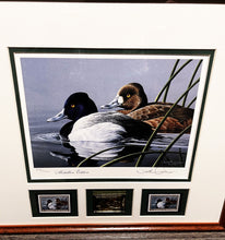 Load image into Gallery viewer, Neal Anderson - 1989 Federal Duck Stamp Print Gold Medallion Edition With Double Stamps - Swimming Scaup Ducks - Brand New Custom Sporting Frame
