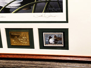 Neal Anderson - 1989 Federal Duck Stamp Print Gold Medallion Edition With Double Stamps - Swimming Scaup Ducks - Brand New Custom Sporting Frame