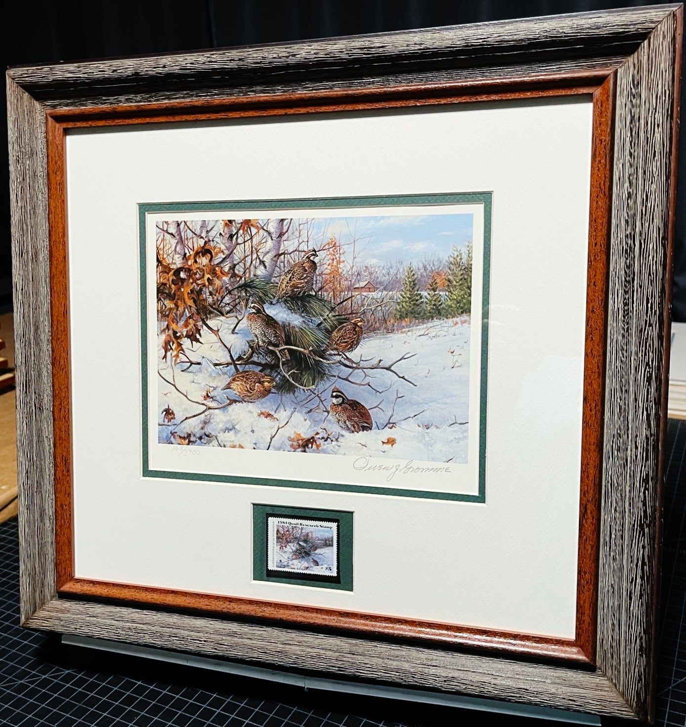 Owen Gromme 1983 International Quail Foundation Stamp Print With Stamp - Brand New Super Custom Sporting Frame