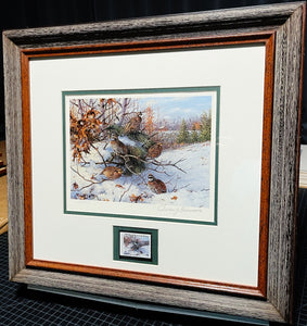 Owen Gromme 1983 International Quail Foundation Stamp Print With Stamp - Brand New Super Custom Sporting Frame