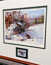 Load image into Gallery viewer, Owen Gromme 1983 International Quail Foundation Stamp Print With Stamp - Brand New Super Custom Sporting Frame