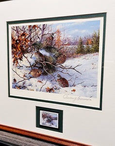 Owen Gromme 1983 International Quail Foundation Stamp Print With Stamp - Brand New Super Custom Sporting Frame