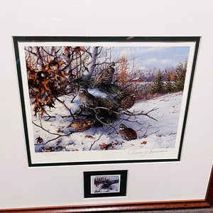 Owen Gromme 1983 International Quail Foundation Stamp Print With Stamp - Brand New Super Custom Sporting Frame