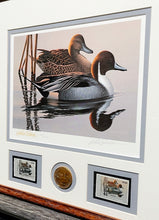 Load image into Gallery viewer, Phil Scholer  1983 Federal Duck Stamp Print Gold Medallion Edition With Double Stamps - Brand New Custom Sporting Frame