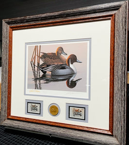 Phil Scholer  1983 Federal Duck Stamp Print Gold Medallion Edition With Double Stamps - Brand New Custom Sporting Frame