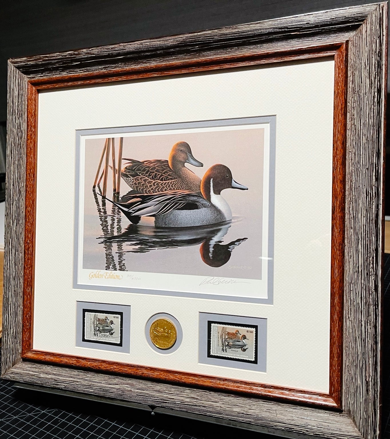 Phil Scholer - 1983 Federal Duck Stamp Print Gold Medallion Edition With Double Stamps - Brand New Custom Sporting Frame