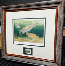 Load image into Gallery viewer, Randy McGovern - 2010 CCA Coastal Conservation Association Print With Stamp - Brand New Custom Sporting Frame