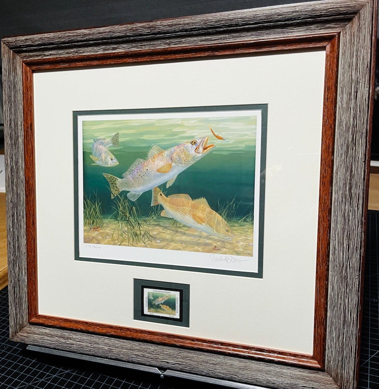 Randy McGovern - 2010 CCA Coastal Conservation Association Print With Stamp - Brand New Custom Sporting Frame