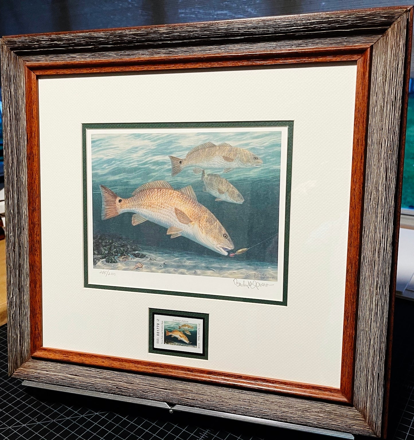 Randy McGovern 2011 Texas Saltwater Stamp Print With Stamp - Brand New Custom Sporting Frame