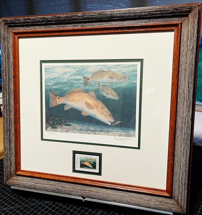 Randy McGovern 2011 Texas Saltwater Stamp Print With Stamp - Brand New Super  Custom Sporting Frame