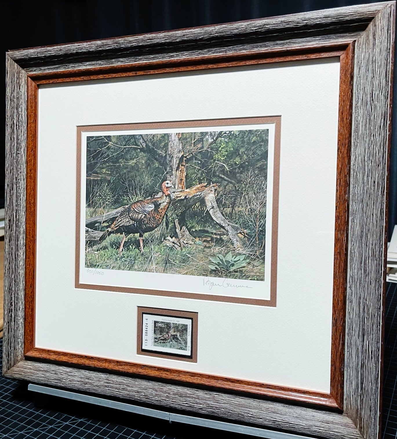 Ragan Gennusa 1993 Texas Turkey Stamp Print With Stamp - Brand New Super Custom Sporting Frame