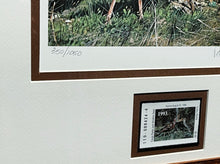 Load image into Gallery viewer, Ragan Gennusa 1993 Texas Turkey Stamp Print With Stamp - Brand New Super Custom Sporting Frame