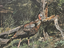 Load image into Gallery viewer, Ragan Gennusa 1993 Texas Turkey Stamp Print With Stamp - Brand New Super Custom Sporting Frame