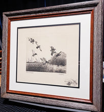 Load image into Gallery viewer, Richard Bishop - Blacks And Greenheads - 1945 Dry-point Etching Print - Remarque Edition- Black Ducks and Greenhead Mallards Lighting - Brand New Custom Sporting Frame