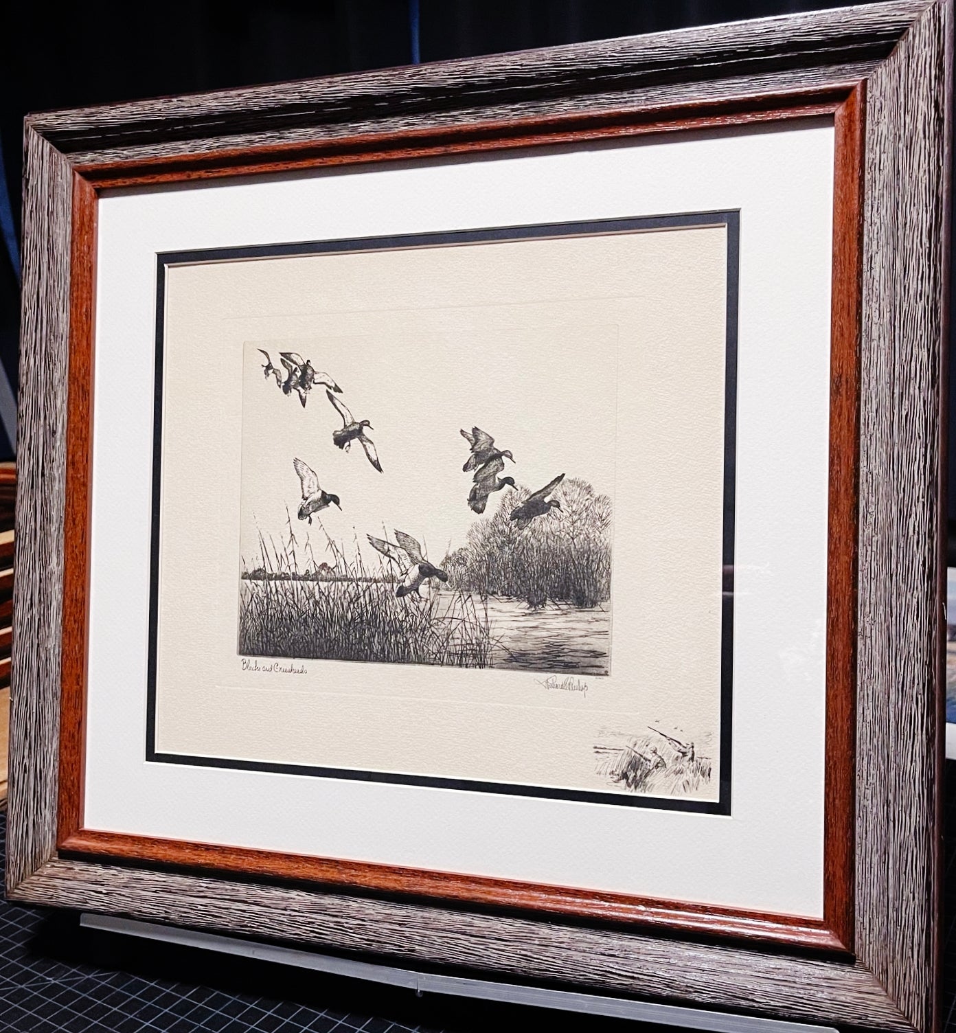 Richard Bishop - Blacks And Greenheads - 1945 Dry-point Etching Print - Remarque Edition- Black Ducks and Greenhead Mallards Lighting - Brand New Custom Sporting Frame