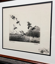 Load image into Gallery viewer, Richard Bishop - Blacks And Greenheads - 1945 Dry-point Etching Print - Remarque Edition- Black Ducks and Greenhead Mallards Lighting - Brand New Custom Sporting Frame