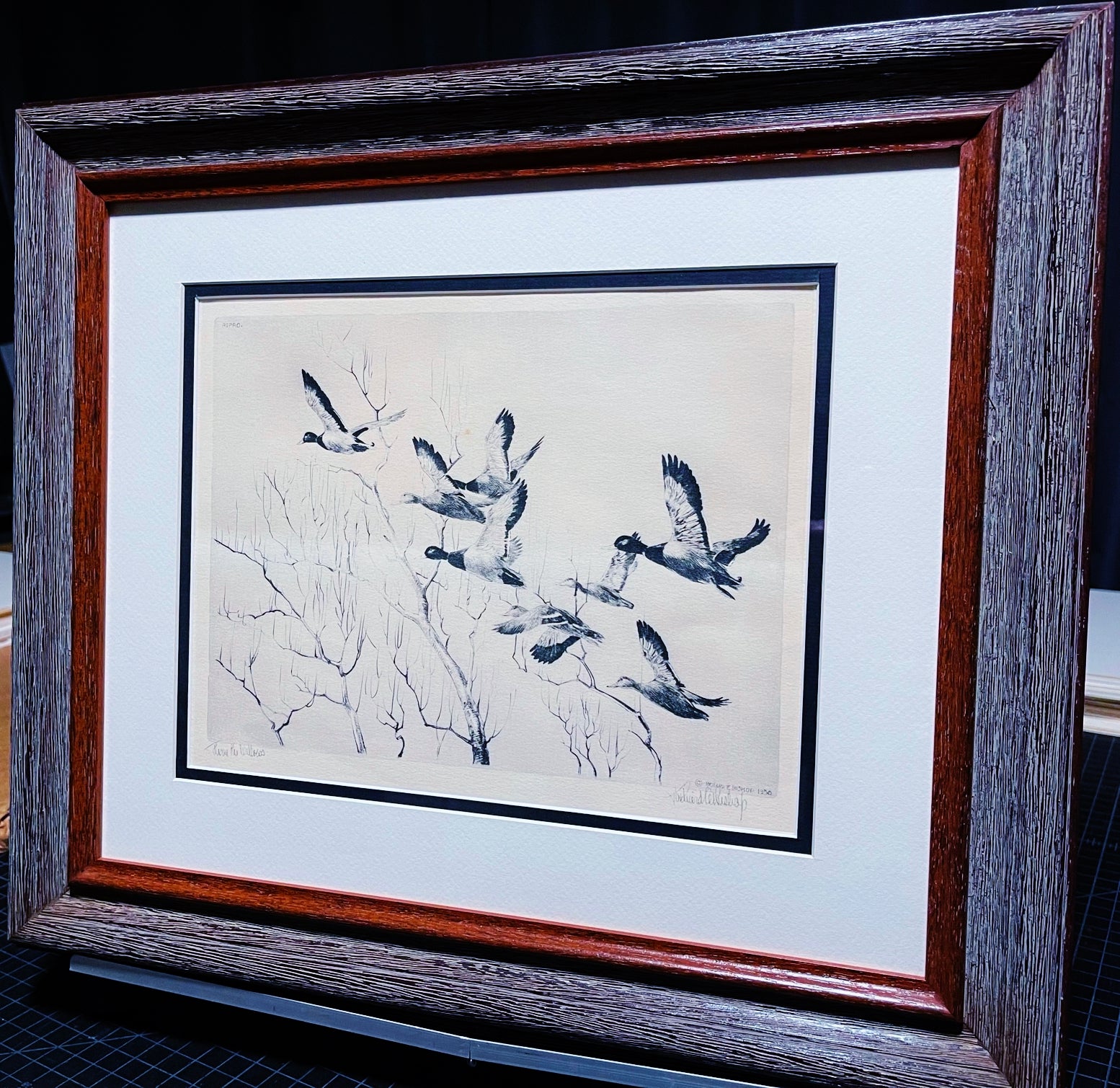 Richard Bishop Through The Willow's 1936 - Dry-Point Etching Print Year 1936 - Greenhead Mallards Flying - Brand New Super Custom Sporting Frame