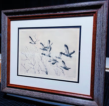 Load image into Gallery viewer, Richard Bishop Through The Willow&#39;s 1936 - Dry-Point Etching Print Year 1936 - Greenhead Mallards Flying - Brand New Super Custom Sporting Frame