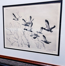 Load image into Gallery viewer, Richard Bishop Through The Willow&#39;s 1936 - Dry-Point Etching Print Year 1936 - Greenhead Mallards Flying - Brand New Super Custom Sporting Frame
