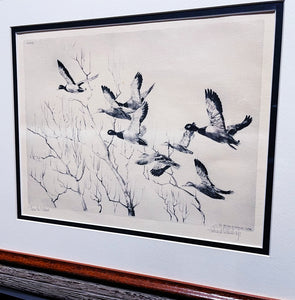Richard Bishop Through The Willow's 1936 - Dry-Point Etching Print Year 1936 - Greenhead Mallards Flying - Brand New Super Custom Sporting Frame