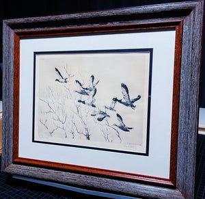 Richard Bishop  Through The Willow's  1936 Dry-Point Etching Print - Greenhead Mallards Flying - Brand New Custom Sporting Frame