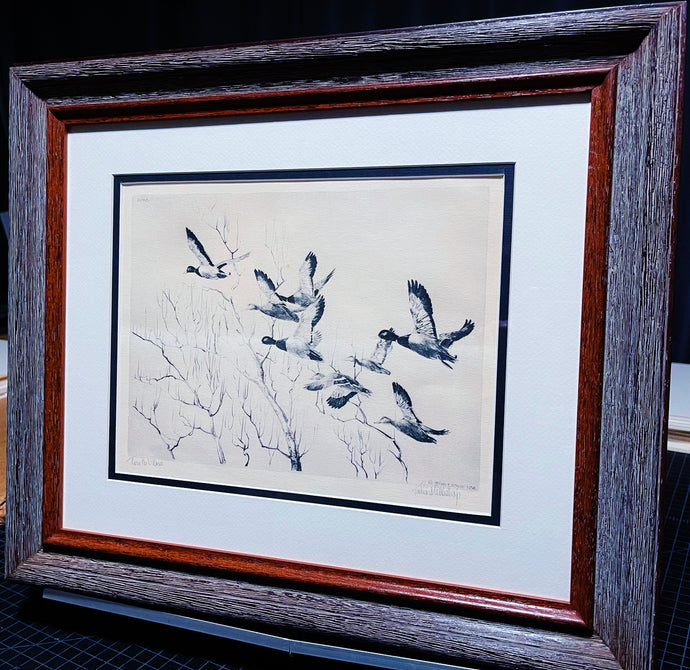 Richard Bishop Through The Willow's 1936 - Dry-Point Etching Print Year 1936 - Greenhead Mallards Flying - Brand New Super Custom Sporting Frame