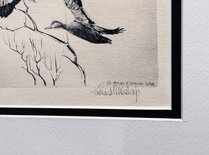 Richard Bishop  Through The Willow's  1936 Dry-Point Etching Print - Greenhead Mallards Flying - Brand New Custom Sporting Frame