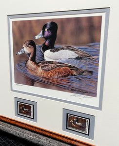 Richard Clifton - 2002 Federal Migratory Duck Stamp Print With Double Stamps - Brand New Custom Sporting Frame