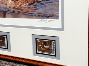 Richard Clifton - 2002 Federal Migratory Duck Stamp Print With Double Stamps - Brand New Custom Sporting Frame