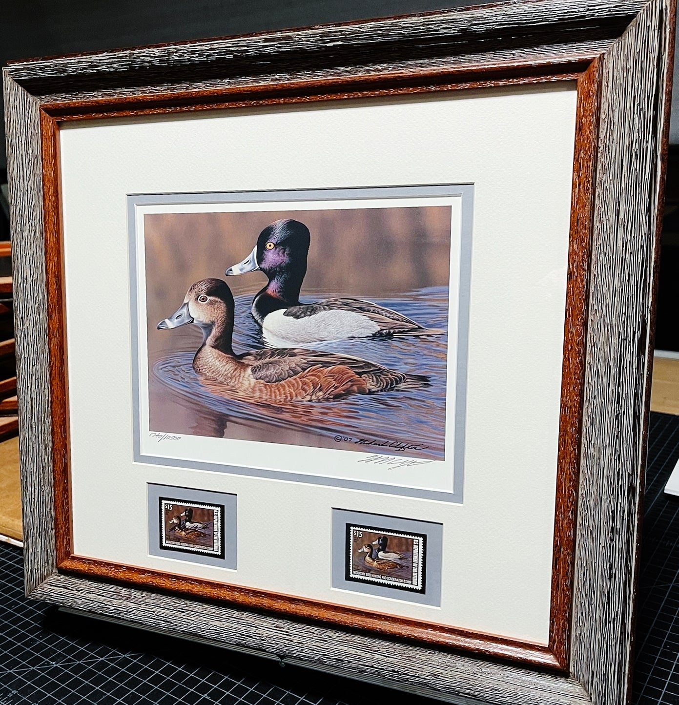 Richard Clifton - 2002 Federal Migratory Duck Stamp Print With Double Stamps - Brand New Custom Sporting Frame