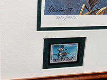 Load image into Gallery viewer, Richard Plasschaert - 1980 Federal Duck Stamp Print With Double Stamps - Greenhead Mallard Duck&#39;s  - Brand New Custom Sporting Frame