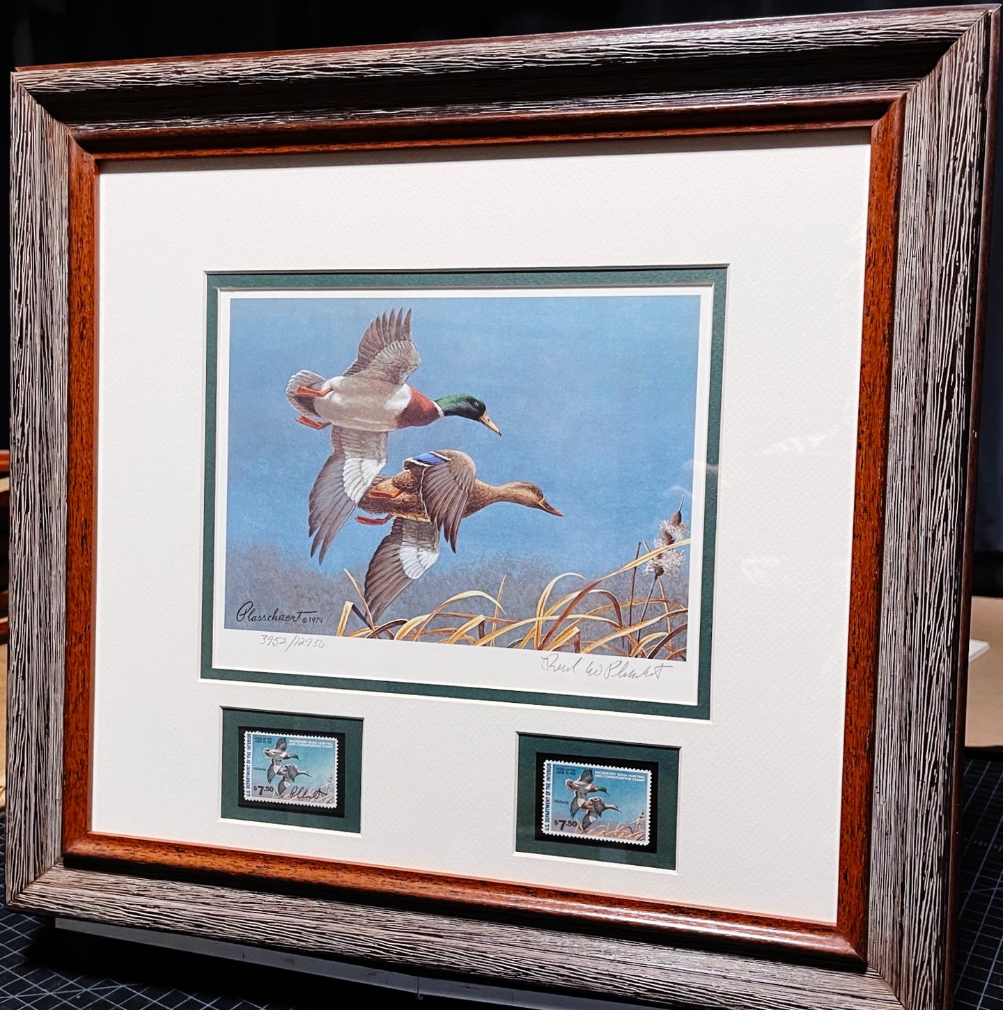 Richard Plasschaert - 1980 Federal Duck Stamp Print With Double Stamps - Greenhead Mallard Duck's  - Brand New Custom Sporting Frame